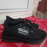 حراج حراج|حراج|جوانرود, |دیوار