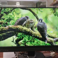 فروش کیس حرفه ای + مانیتور 27 اینچ Dell (QHD)