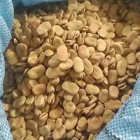 گندم وباقلا