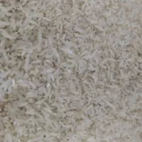 برنج فجر سوزنی