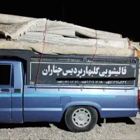 قالیشویی گلبهار پردیس (گزمه)