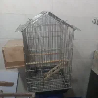قفسه پرنده