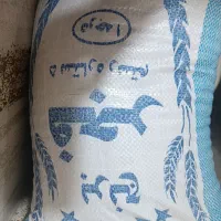 برنج محلی کشت امسال خوشپخت وخوش عطر وبو