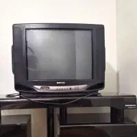 تلویزیون