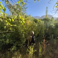 نگهبان هستم