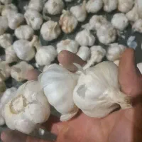 سیردرجه ۱سردخانه ای|خوردنی و آشامیدنی|شهریار, شهریار|دیوار