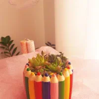 گلدان مدادرنگی فانتزی با کاکتوس طبیعی