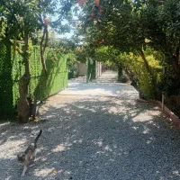 استخدام سرایدار