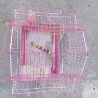 قفس|لوازم جانبی حیوانات|مرند, |دیوار