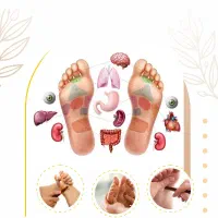 آموزش بازتاب شناسی ( رفلکسولوژی)