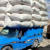 کاه کمباین|لوازم جانبی حیوانات|دورود, |دیوار