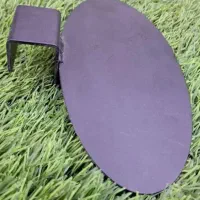 رگال زیره کفش