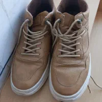 کتونی|کیف، کفش، کمربند|سبزوار, کاشفی شمالی (دادگستری)|دیوار