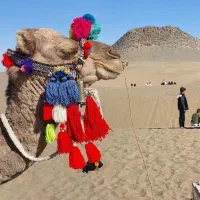تور کویر