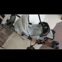 کالسکه و کریر دلیجان