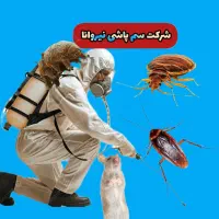 سمپاشی تضمینی منازل و محل کار|خدمات نظافت|نیشابور, شهرک فرهنگیان|دیوار