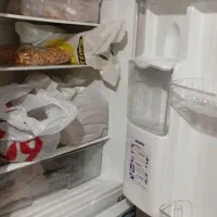 دو عدد یخچال فریزر الکترو استیل|یخچال و فریزر|مشهد, الهیه|دیوار