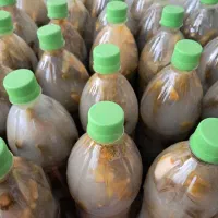 خیارشور اعلا