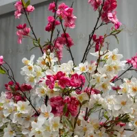 گلدان و گل خارجی