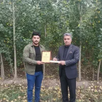 صنوبر غیرمثمر صنعتی، پرداخت قسطی و تحویل فوری|خدمات باغبانی و درختکاری|نورآباد ممسنی, |دیوار