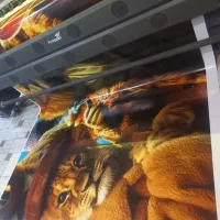 چاپ بنر فوری|خدمات رایانه‌ای و موبایل|یزد, |دیوار