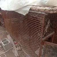 گنجه کبوتر|لوازم جانبی حیوانات|شیراز, قلات|دیوار