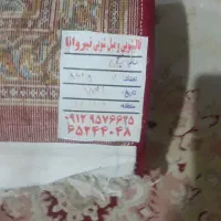 فرش ۶متری|فرش|تهران, مخصوص|دیوار