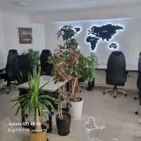 استخدام تریدر آشنا به فارکس و ارز دیجیتال در تبریز|استخدام مالی، حسابداری، حقوقی|تبریز, |دیوار