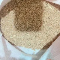 گندم ساورز