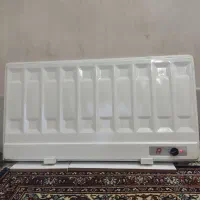 پنل برقی (مارک انگلیسی)