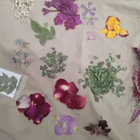 وسایل زرین|صنایع دستی و سایر لوازم تزئینی|خمینی‌شهر, |دیوار