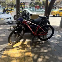 دوچرخه حرفه‌ای