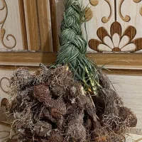 چیدم یا (همون پیاز زعفران)