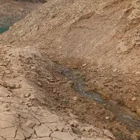 زمین-باغی-حسن-اباد-قلعه-سفید-نجف-اباد