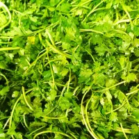 کارگر ساده برایه سبزی خرد کنی اطباع خانم یا آقا