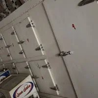 سردخانه|ماشینآلات صنعتی|تبریز, |دیوار