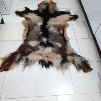 پادری پوست طبیعی