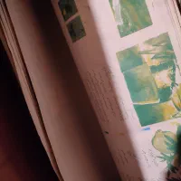 لوازم جانبی پرنده|لوازم جانبی حیوانات|سبزوار, مدرس|دیوار