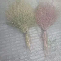 جارو