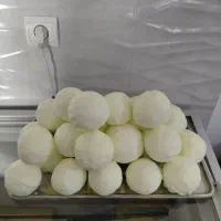 کره گاومیش وگاو