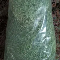 یونجه خشک شده و پلت