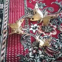 یک دست پروانه و یک دست گنجشک