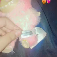 عروسک لبوبو|اسباب‌بازی بچه|اهواز, بهارستان|دیوار
