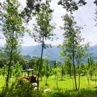 باغ-گلابی-1-هکتار