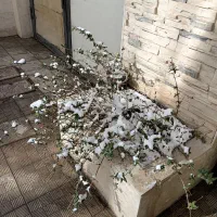 سه عددلوله سیمانی وچندزانوی سیمانی ستفاده نشده