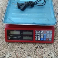 یک عدد فرغون با تاباغ یک عدد ترازوی دیجیتالی