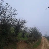 ۲۰۵ متر زمین در ییلاق زیبای لوییم با ویوی بی نظیر|فروش زمین و ملک کلنگی|رضوانشهر, |دیوار