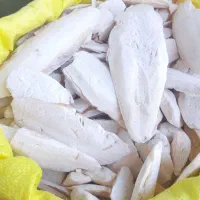 کف دریا|لوازم جانبی حیوانات|مشهد, محمدآباد|دیوار