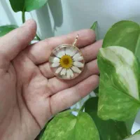 همه چی با رزین|بدلیجات|اصفهان, کوی امیریه|دیوار