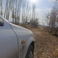 سرویس و رانندگی شخصی